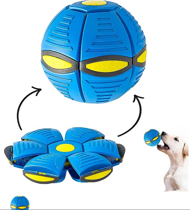 Pelota freesbe