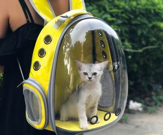 MOCHILA AMPLIA PARA MASCOTA